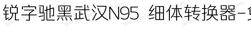 锐字驰黑武汉N95 细体转换器字体转换